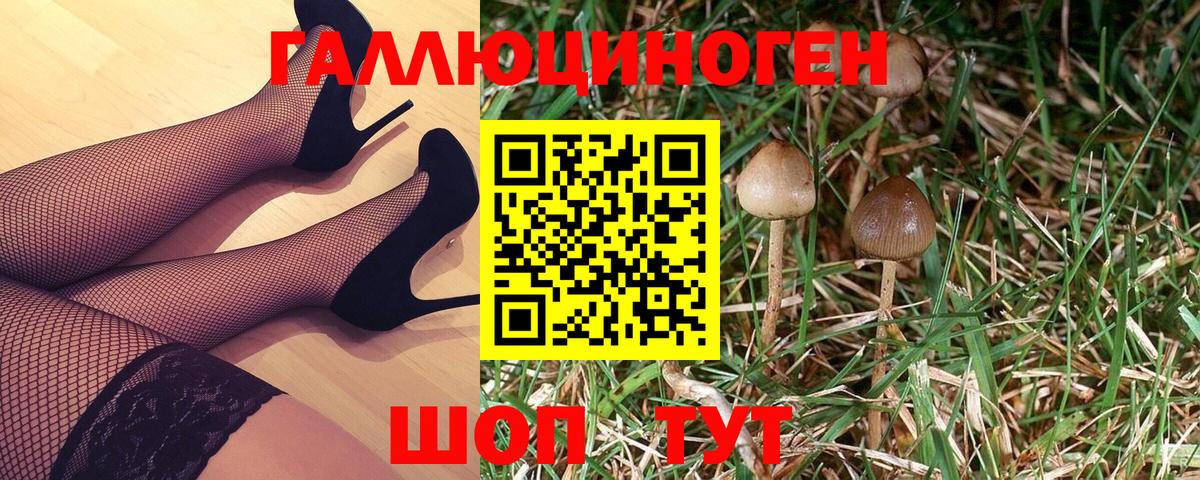 Галлюциногенные грибы мухоморы Тольятти