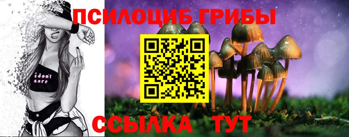 Тольятти  Псилоцибиновые грибы MAGIC MUSHROOMS  Вход с VPN  Галлюциногенные грибы Cubensis 